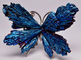 TITANIUM AURA KYANITE BUTTERFLY P184