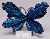 TITANIUM AURA KYANITE BUTTERFLY P184