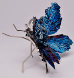 TITANIUM AURA KYANITE BUTTERFLY P184