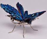 TITANIUM AURA KYANITE BUTTERFLY P184