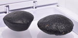 2 x AUSTRALITE, METEORITE FROM SOUTH AUSTRALIA MT110