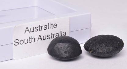 2 x AUSTRALITE, METEORITE FROM SOUTH AUSTRALIA MT110