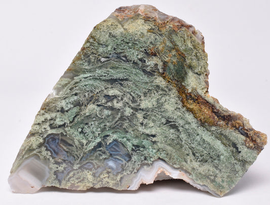 MOSS AGATE SLICED AND POLISHED S282