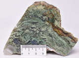 MOSS AGATE SLICED AND POLISHED S282