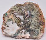 MOSS AGATE SLICED AND POLISHED P189