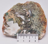 MOSS AGATE SLICED AND POLISHED P189