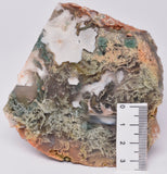 MOSS AGATE SLICED AND POLISHED P189