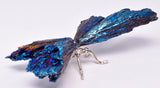 TITANIUM AURA KYANITE DRAGONFLY P539