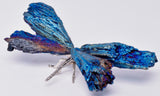 TITANIUM AURA KYANITE DRAGONFLY P539