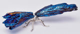 TITANIUM AURA KYANITE DRAGONFLY P539