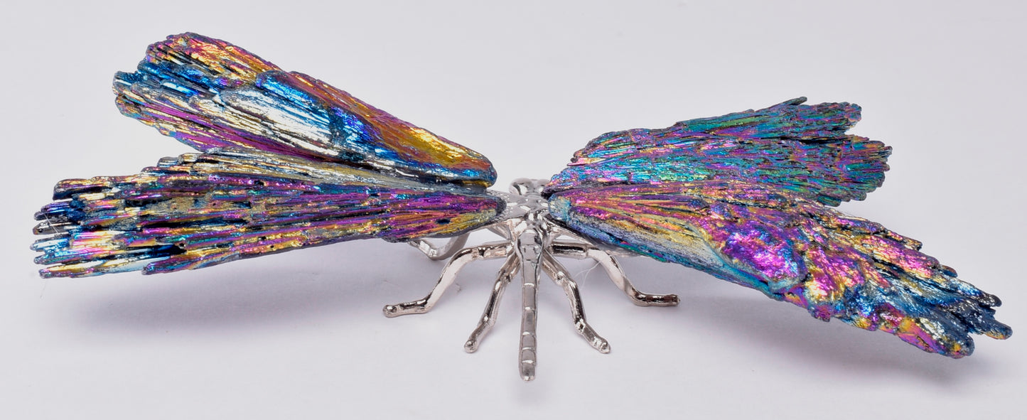 TITANIUM AURA KYANITE DRAGONFLY P540