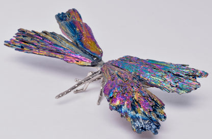 TITANIUM AURA KYANITE DRAGONFLY P540