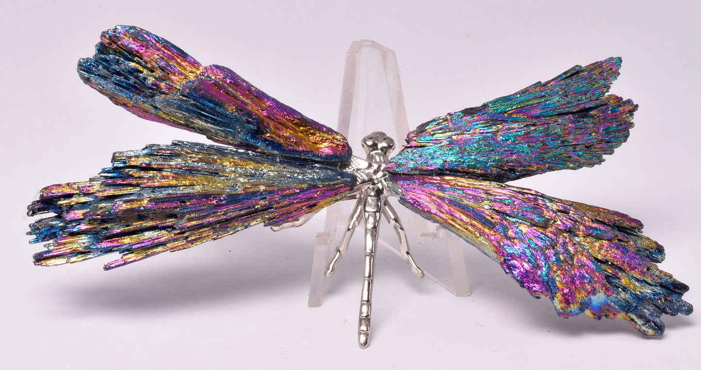 TITANIUM AURA KYANITE DRAGONFLY P540