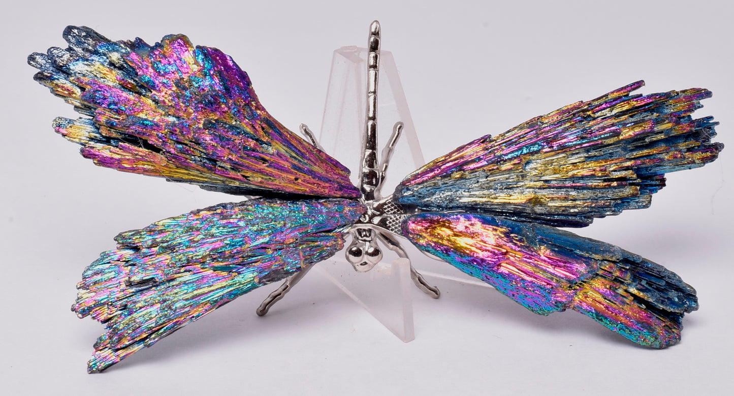 TITANIUM AURA KYANITE DRAGONFLY P540