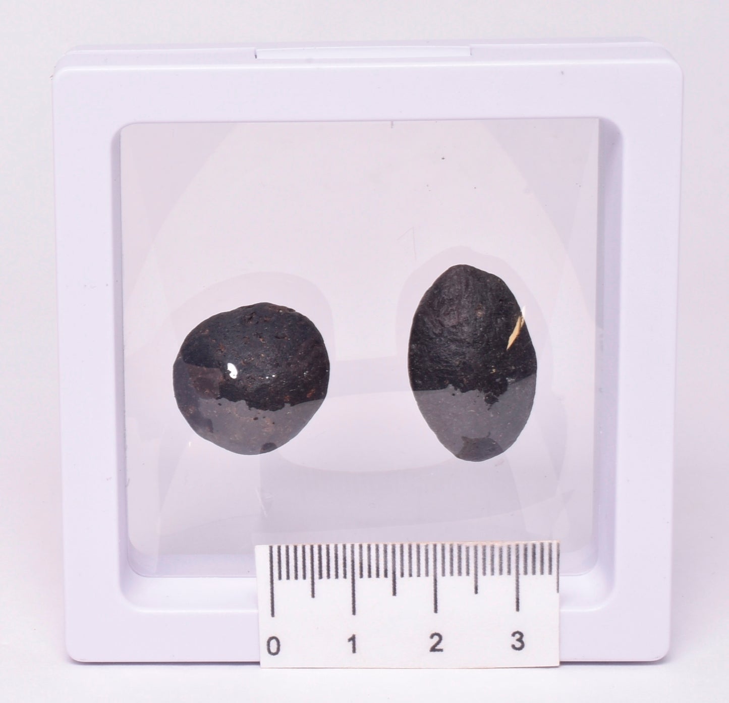 2 x AUSTRALITE, METEORITE FROM SOUTH AUSTRALIA MT121