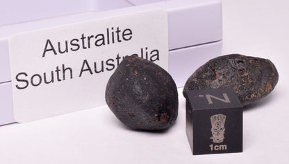 2 x AUSTRALITE, METEORITE FROM SOUTH AUSTRALIA MT121