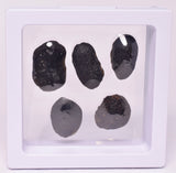 5 x AUSTRALITE, METEORITE FROM SOUTH AUSTRALIA MT124