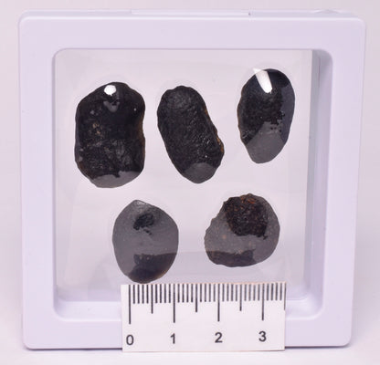 5 x AUSTRALITE, METEORITE FROM SOUTH AUSTRALIA MT124