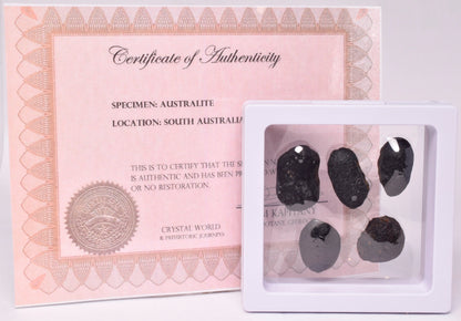 5 x AUSTRALITE, METEORITE FROM SOUTH AUSTRALIA MT124