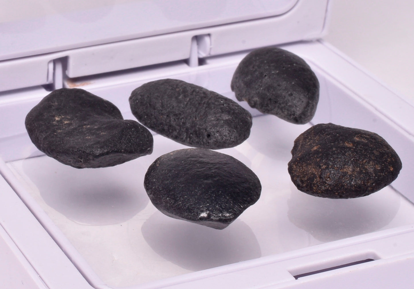 5 x AUSTRALITE, METEORITE FROM SOUTH AUSTRALIA MT124