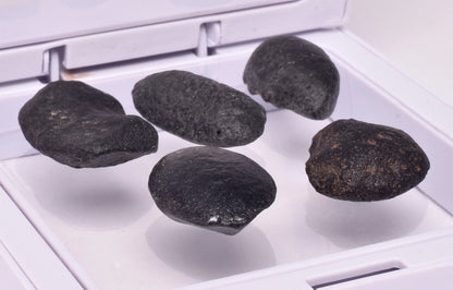 5 x AUSTRALITE, METEORITE FROM SOUTH AUSTRALIA MT124