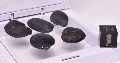 5 x AUSTRALITE, METEORITE FROM SOUTH AUSTRALIA MT124