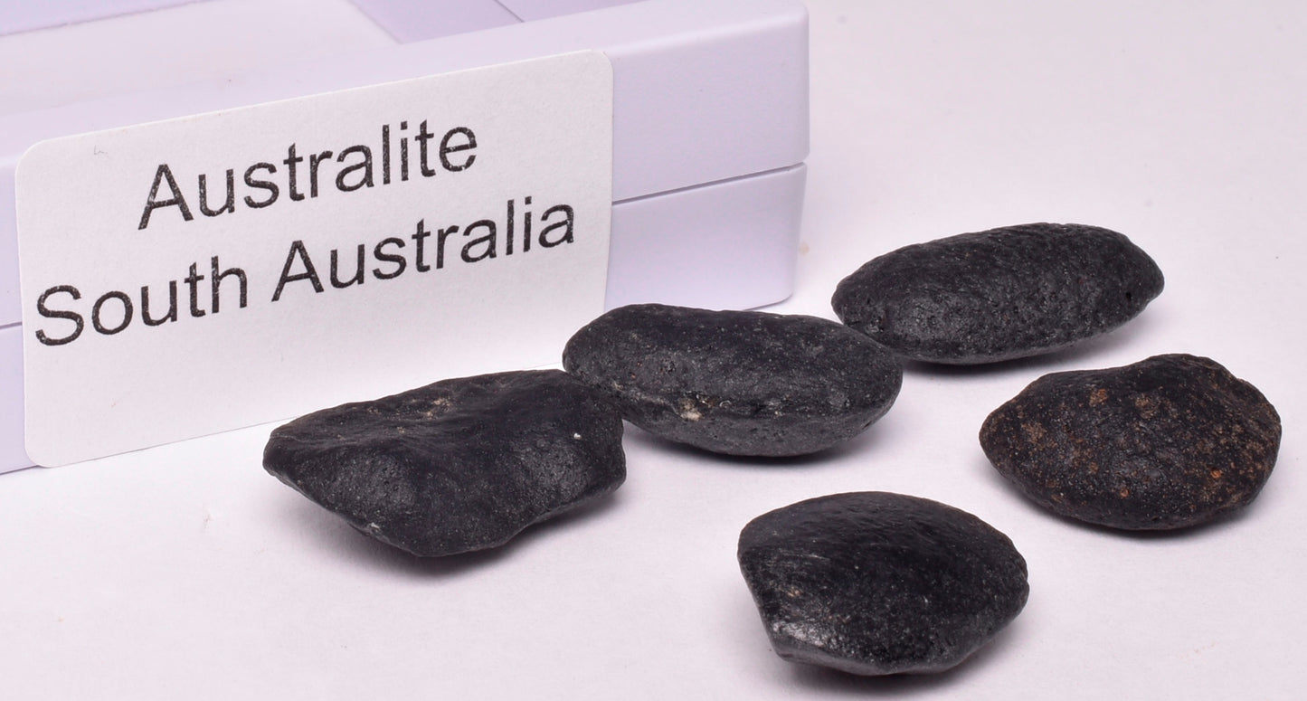 5 x AUSTRALITE, METEORITE FROM SOUTH AUSTRALIA MT124