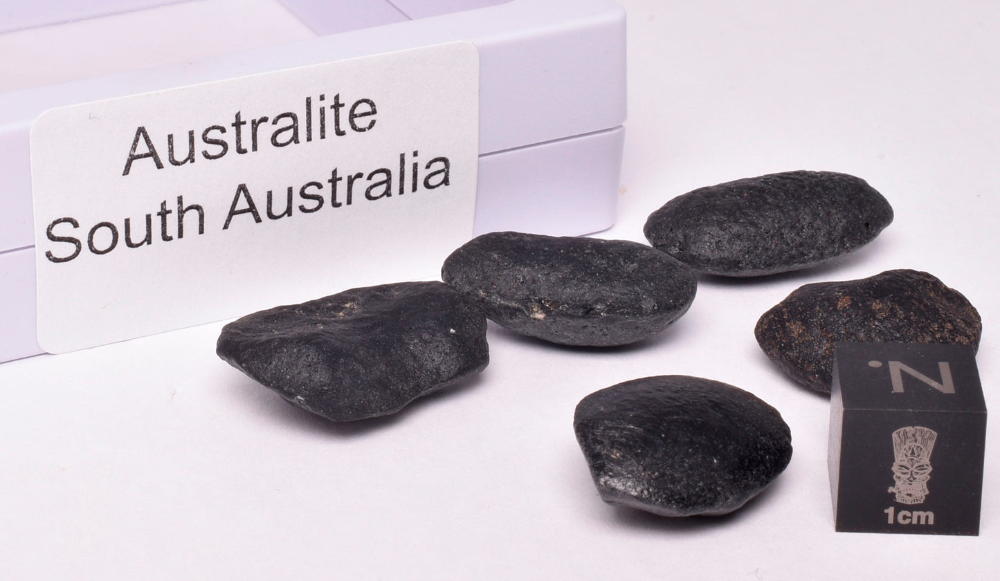 5 x AUSTRALITE, METEORITE FROM SOUTH AUSTRALIA MT124