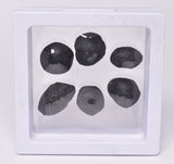 6 x AUSTRALITE, METEORITE FROM SOUTH AUSTRALIA MT129