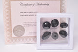 6 x AUSTRALITE, METEORITE FROM SOUTH AUSTRALIA MT129