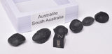 6 x AUSTRALITE, METEORITE FROM SOUTH AUSTRALIA MT129