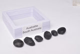 6 x AUSTRALITE, METEORITE FROM SOUTH AUSTRALIA MT129