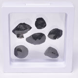 6 x AUSTRALITE, METEORITE FROM SOUTH AUSTRALIA MT128