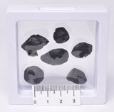 6 x AUSTRALITE, METEORITE FROM SOUTH AUSTRALIA MT128