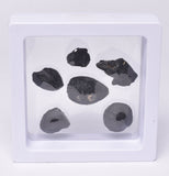 6 x AUSTRALITE, METEORITE FROM SOUTH AUSTRALIA MT128