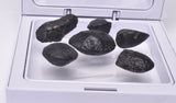 6 x AUSTRALITE, METEORITE FROM SOUTH AUSTRALIA MT128