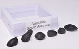 6 x AUSTRALITE, METEORITE FROM SOUTH AUSTRALIA MT128