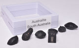 6 x AUSTRALITE, METEORITE FROM SOUTH AUSTRALIA MT128