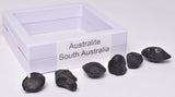 6 x AUSTRALITE, METEORITE FROM SOUTH AUSTRALIA MT128