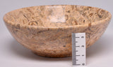 FOSSIL CORAL CARVED BOWL SE16