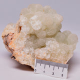 PREHNITE from TAMBAR SPRINGS VOLCANICS, AUSTRALIA M42