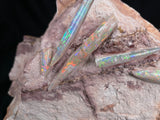 5 x OPAL BELEMNITE FOSSILS in matrix GOB001