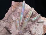 5 x OPAL BELEMNITE FOSSILS in matrix GOB001