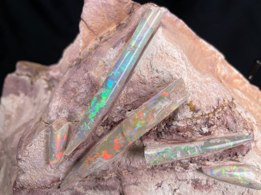 5 x OPAL BELEMNITE FOSSILS in matrix GOB001