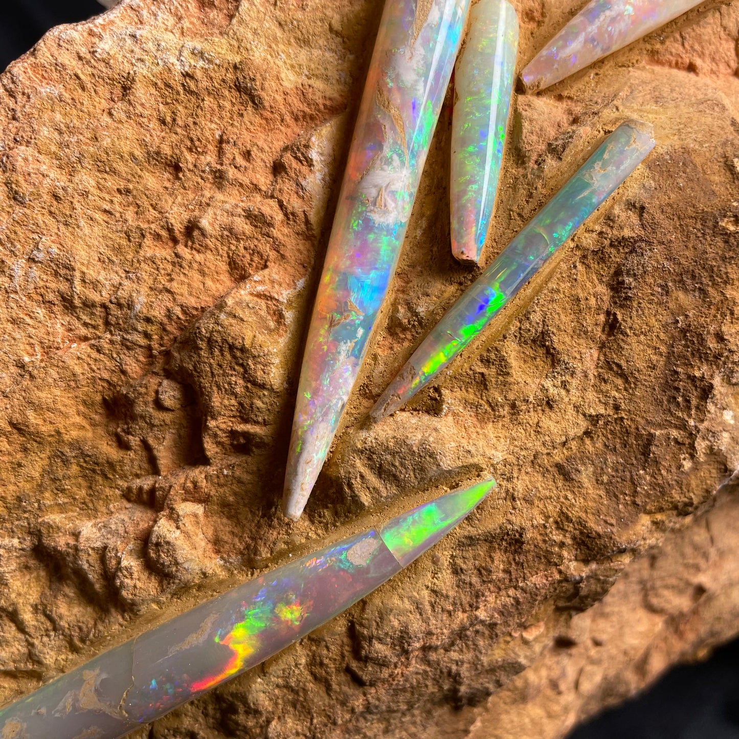 5 x OPAL BELEMNITE FOSSILS in matrix GOB002