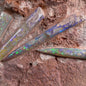 5 x OPAL BELEMNITE FOSSILS in matrix GOB003