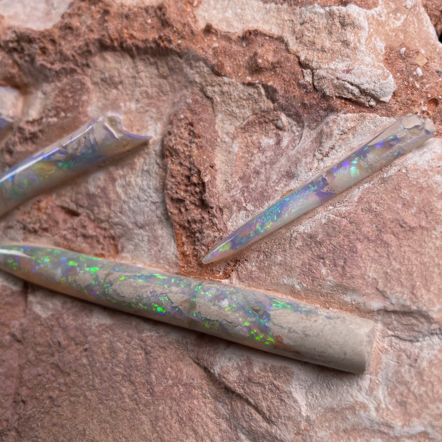 5 x OPAL BELEMNITE FOSSILS in matrix GOB003