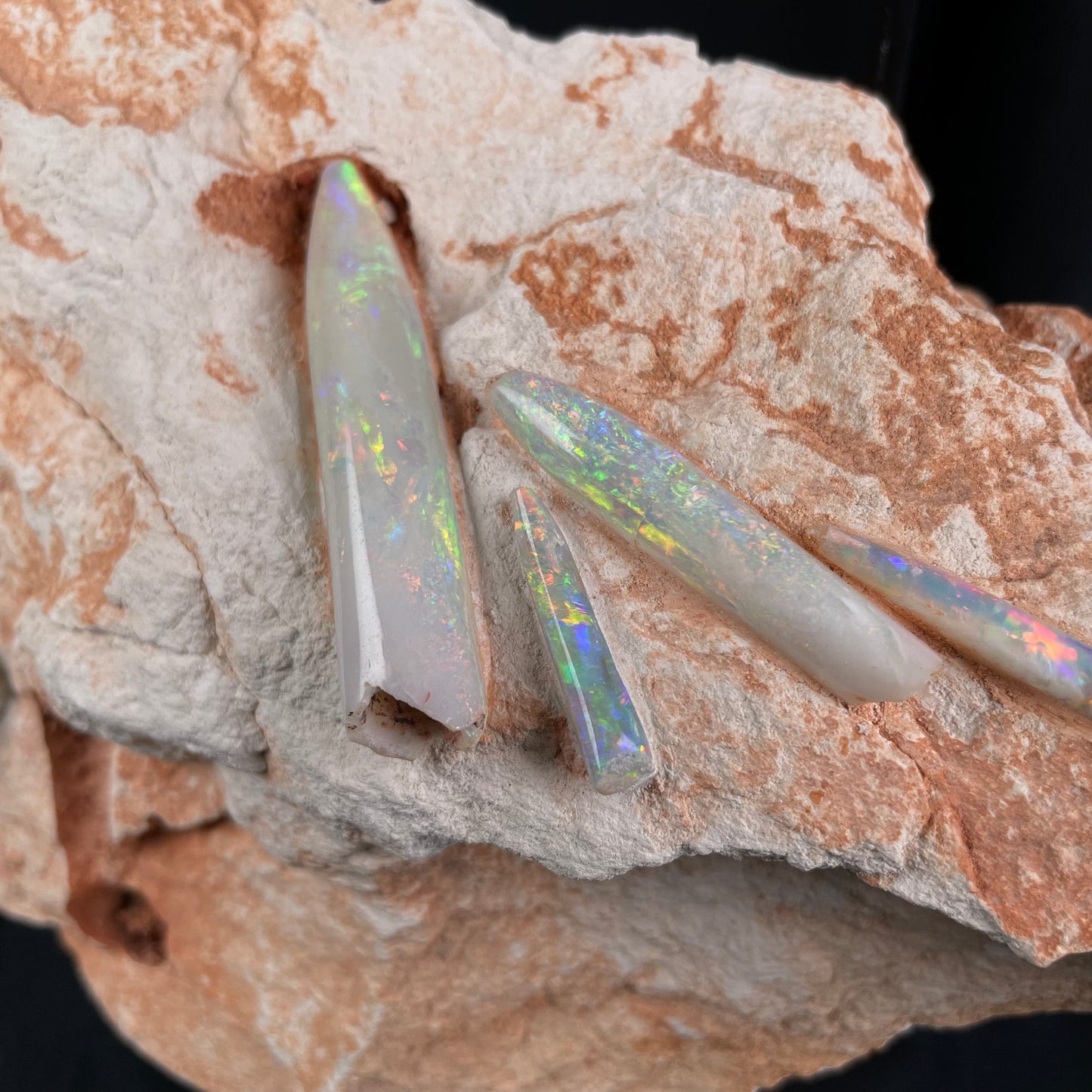 5 x OPAL BELEMNITE FOSSILS in matrix GOB004