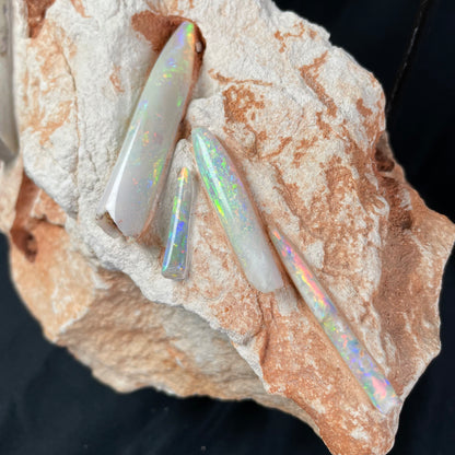 5 x OPAL BELEMNITE FOSSILS in matrix GOB004