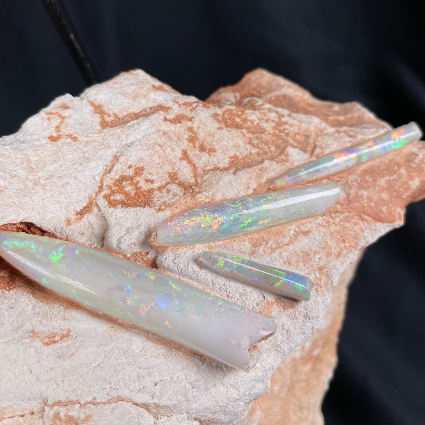 5 x OPAL BELEMNITE FOSSILS in matrix GOB004